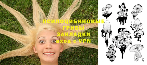 гидра Майский