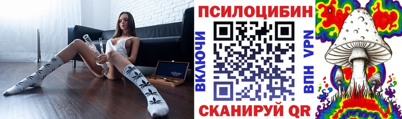 гидра   Мосальск  Псилоцибиновые грибы MAGIC MUSHROOMS 